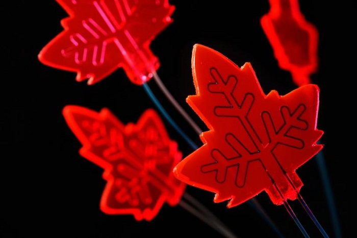 Scientists create artificial leaves that can serve as ‘Mini-Factory’ for drugs 